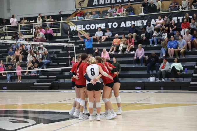 Wolves Fall to Anderson in Three Sets