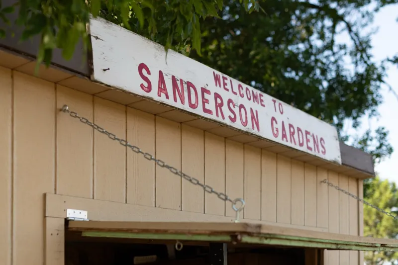 605 Tries // Sanderson Gardens