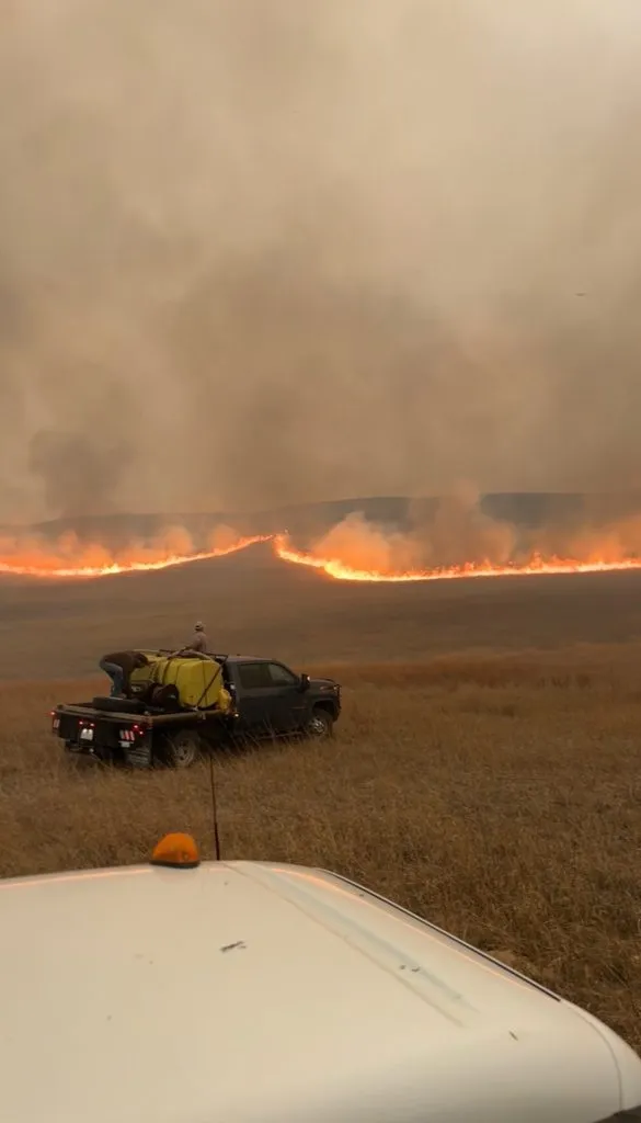 Big help: Ranch youth step in to fight fire, evacuate animals and property