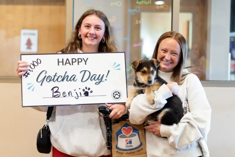 Local Sioux Falls Animal Shelter Hits Major Adoption Milestone