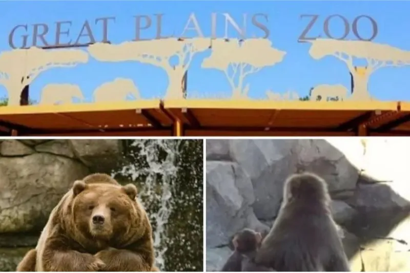 Family Fun Goes Wild at Great Plains Zoo's Summer Celebration