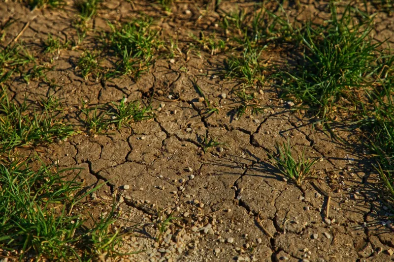 Gov. Rhoden Activates Task Force For South Dakota Drought Issues