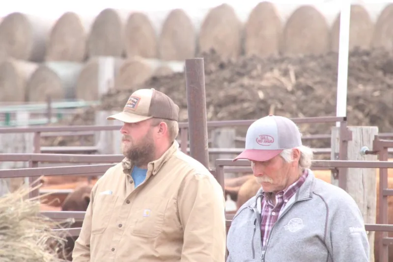 Gill Red Angus Spring Bull and Female Sale