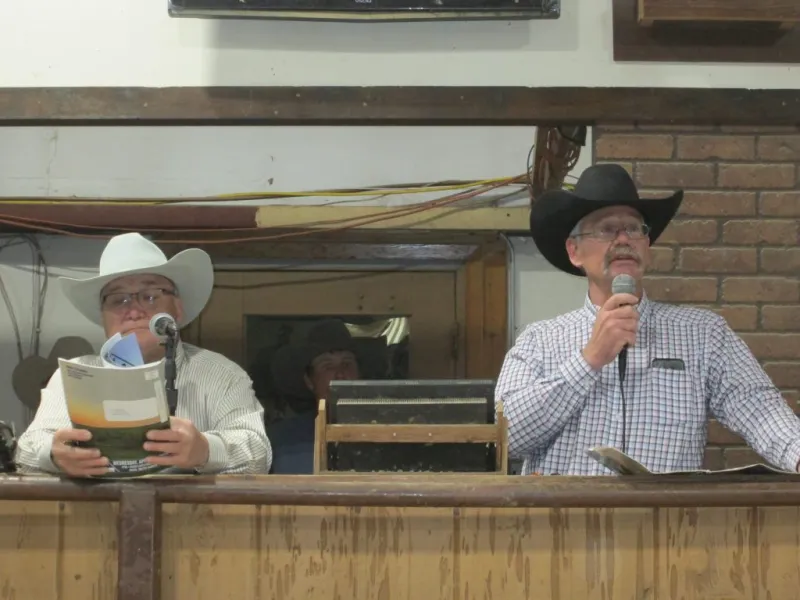 Wedge Tent Ranch 22nd Annual Angus Bull Sale