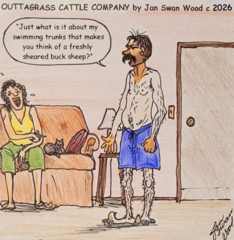 Outtagrass Cattle Co. cartoon
