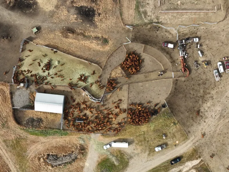 Veseth Ranch donates operation to Ranchers Stewardship Alliance