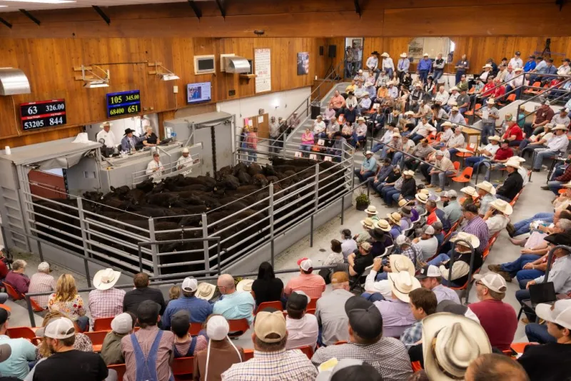 Out West Events 2026 | Black Hills to host LMA National Convention and Auctioneering Championship