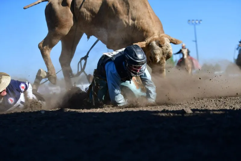 Out West Events 2026 | 4-C Photography: Capturing moments in time