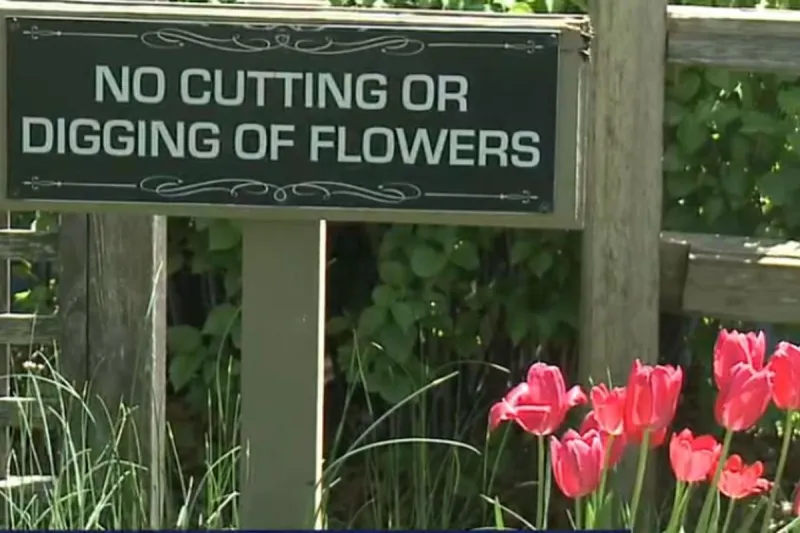 Sioux Falls Parks to Transform Into A Floral Masterpiece This Summer