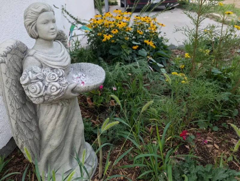 Master Gardener: Spring Prep for Summer Growth and Success