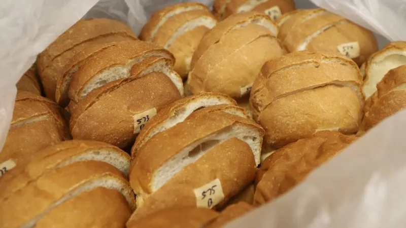Nebraska's small-grains program produces award-winning wheat for baking
