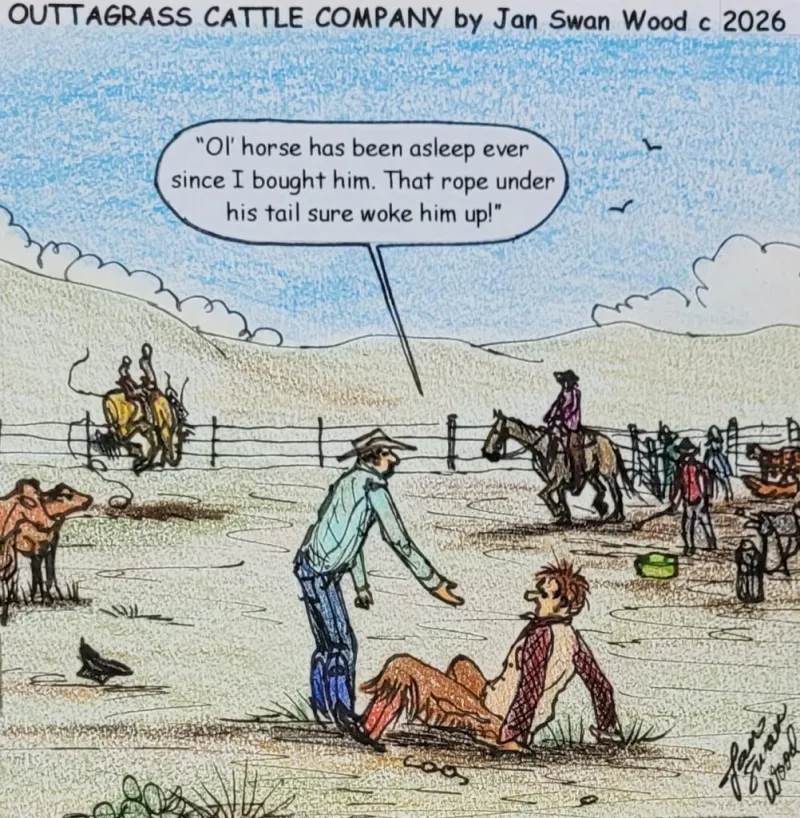 Outtagrass Cattle Company