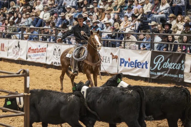 AQHA Partners With Working Ranch Cowboys Association