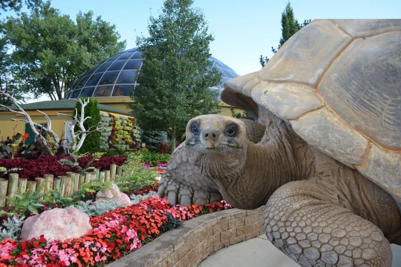 South Dakota Reptile Gardens Set To Celebrate Gigantic Birthday
