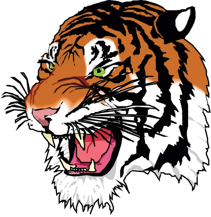 Tigers fall short at state golf tournament