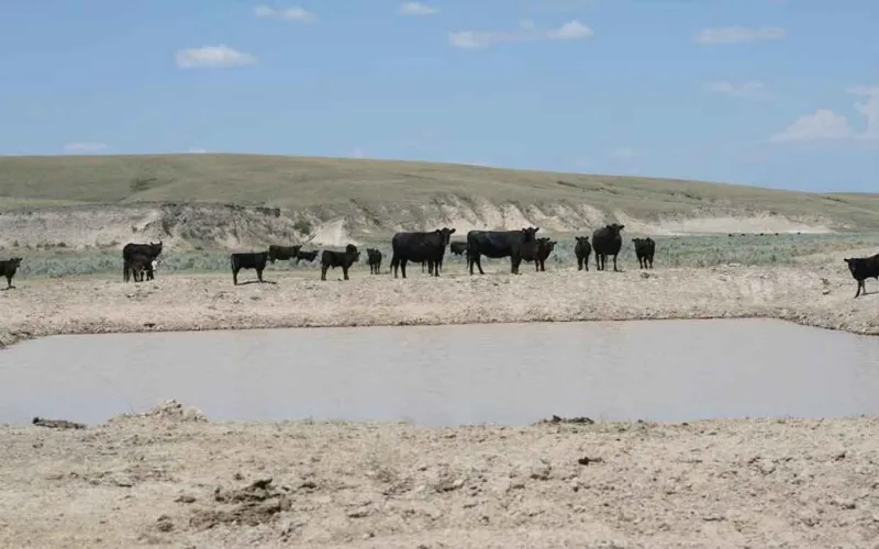 SDSU Extension hosts drought meetings on June 17