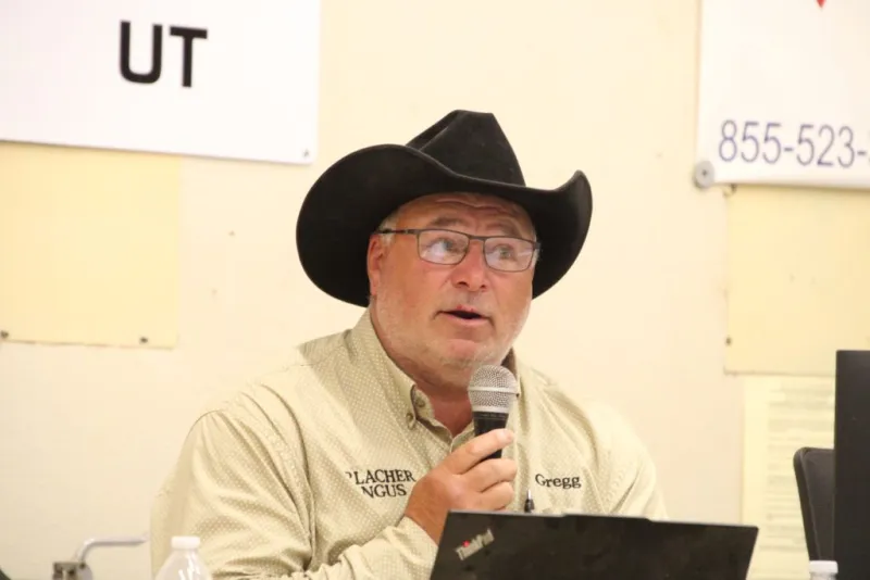 Urlacher Angus Annual Spring Bull Sale
