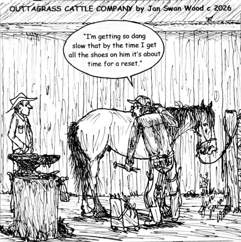 Outtagrass Cattle Company