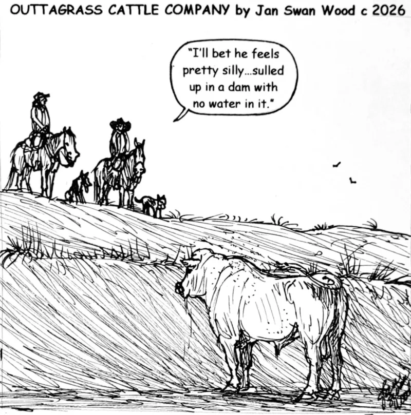 Outtagrass Cattle Company