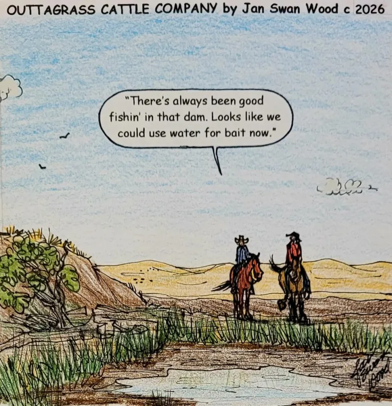 Outtagrass Cattle Company