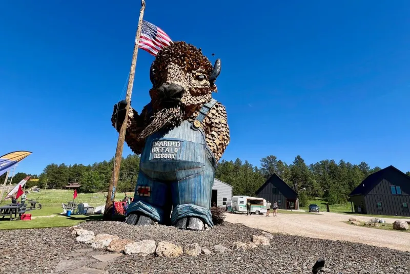 The World's Only Bearded Buffalo Is In This South Dakota Town