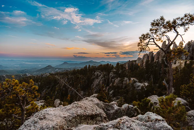 605 Spotlight // Custer State Park