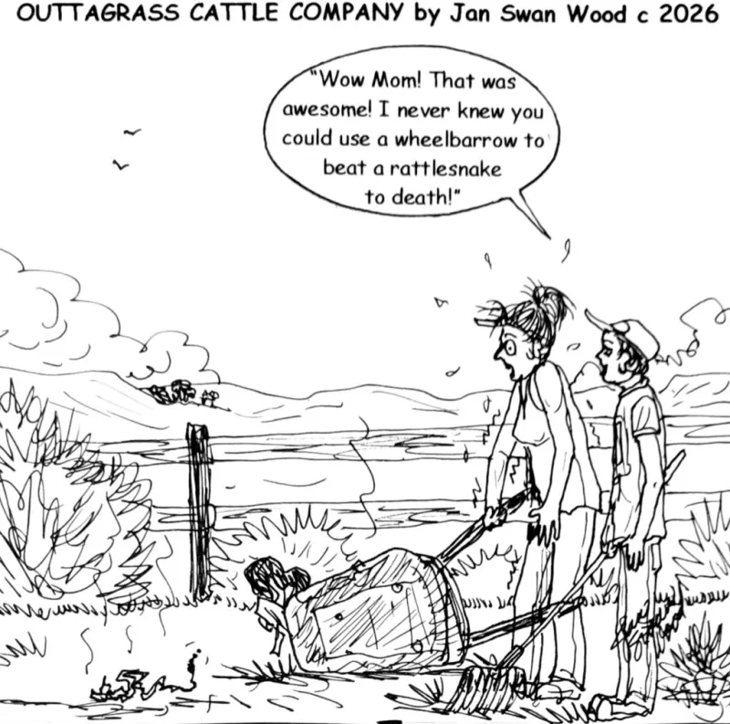 Outtagrass Cattle Company