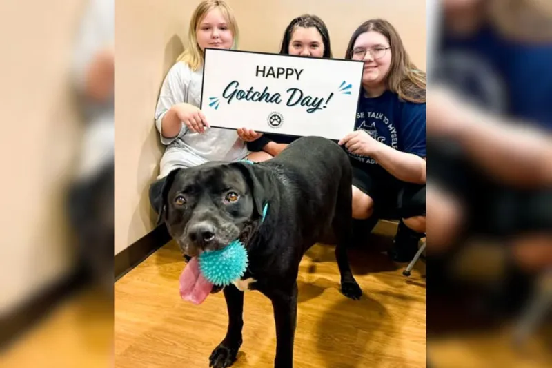 Yay! Sioux Falls Dog Finally Finds 'Fur-ever' Home After 113 Days