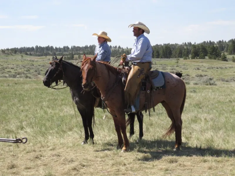 America | LO Cattle Company: A young man's dream