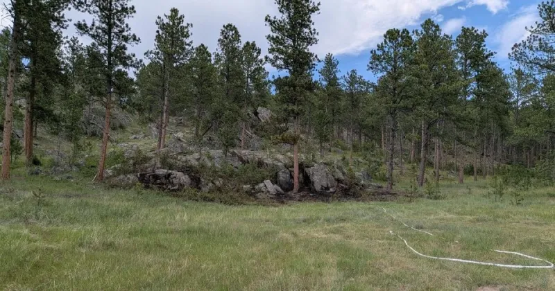 Unexploded homemade explosive delays firefighters' response to Black Hills wildland fire
