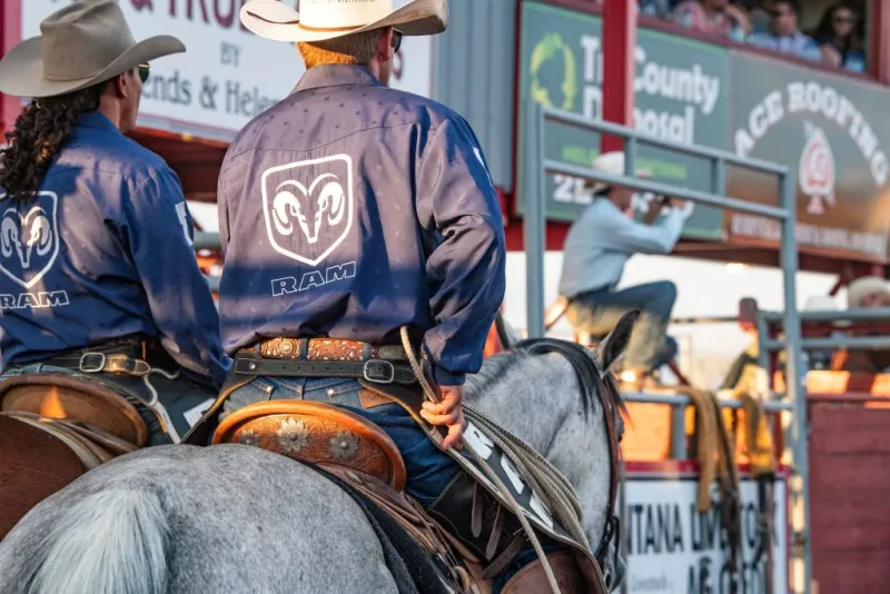 A night in purple: Last Chance Stampede stands against domestic violence