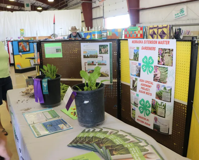 Master Gardener Volunteers grow plants and community