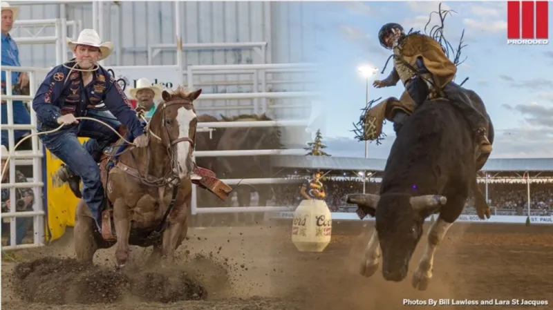 Riley Webb, Noah Lee claim top Cowboy Christmas timed-event, roughstock honors, respectively