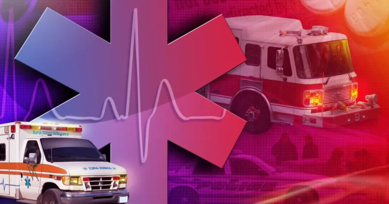 Woman dies in truck crash on Highway 248 near Lyman