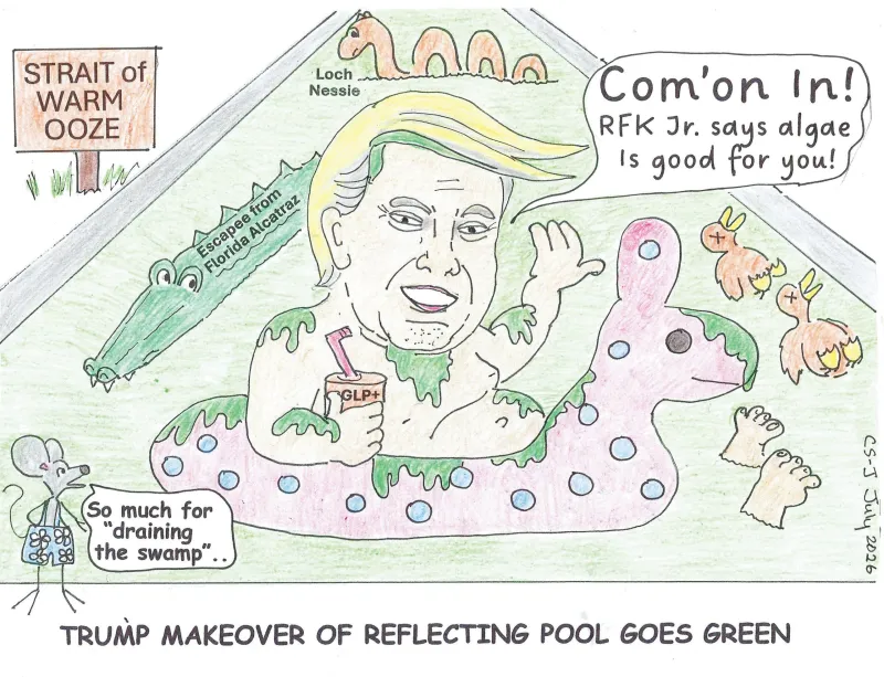 The reflecting pool mirrors ineptitude