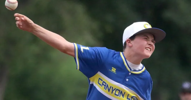 Little League baseball, hand-counting votes and a business in need | Mike Brownlee