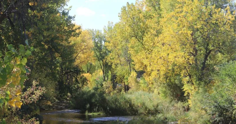 Helmsley trust investing $500k to aid BHACF's Beautiful Black Hills Initiative