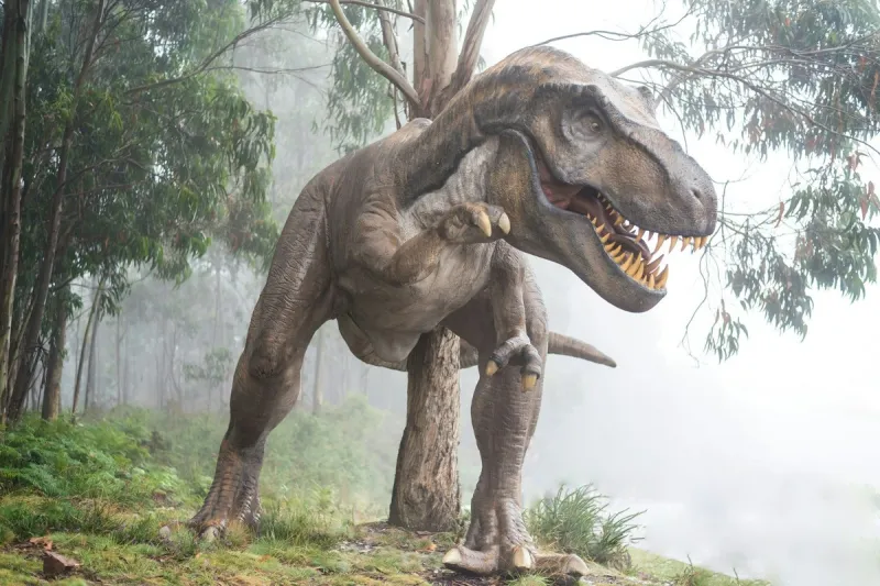 A South Dakota T Rex Just Broke The World Fossil Auction Record