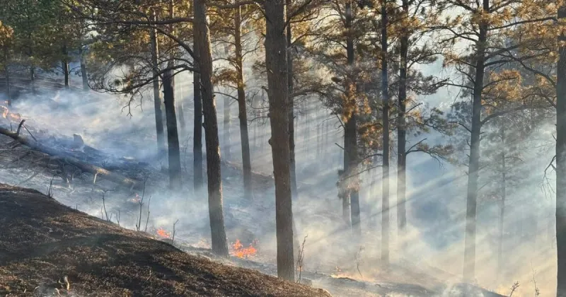 Crews contain wildfire off Floormann, Skyline Drive in Rapid City