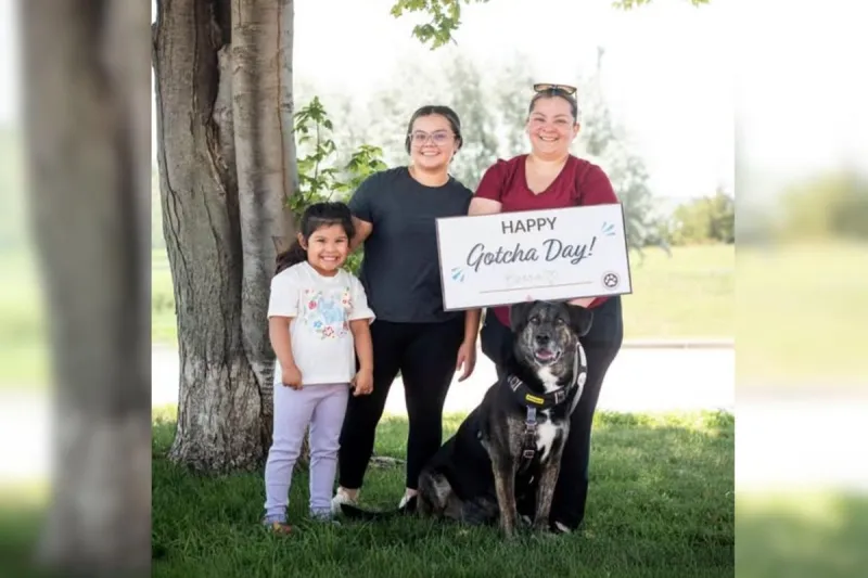 After Waiting 155 Days, Sweet Sioux Falls Dog Is Finally Home