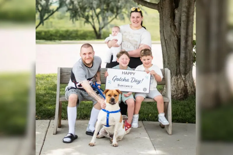 Longtime Shelter Sioux Falls Pup Finally Is Going Home For Good