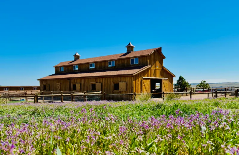 Horse Roundup 2026 | Where dreams take shape: Bar E North carries on and builds a Colorado legacy