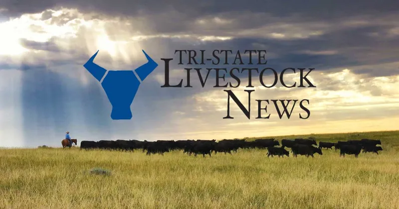 House passes three big bills, departs today