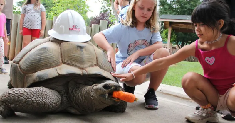 Reptile Gardens is rising from the ashes with new tortoise building after tragic fire