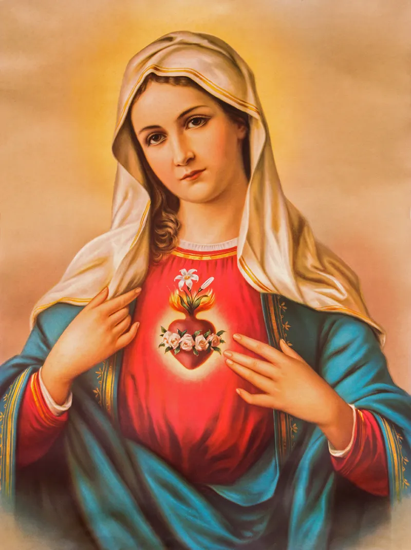 August and the Immaculate Heart of Mary