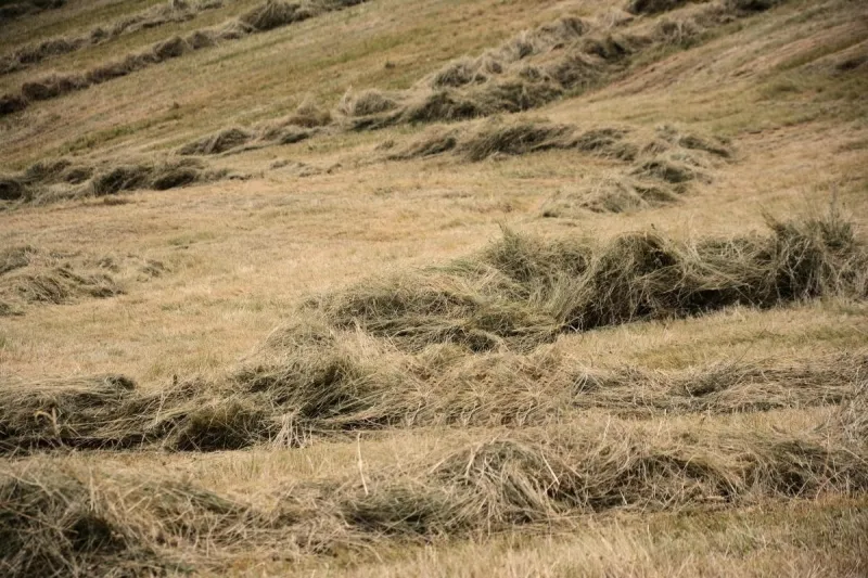 SDSU Extension provides additional drop boxes for free nitrate testing