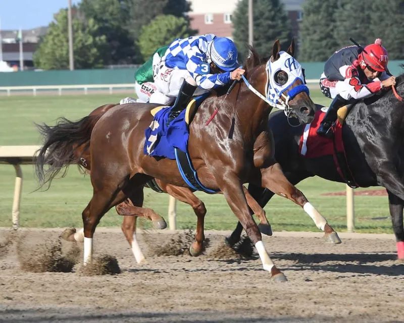 Cox Ranch North Dakota Horse Park Distaff Challenge