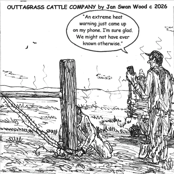 Outtagrass Cattle Company