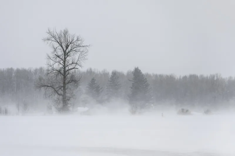 Farmers' Almanac 2026 Winter Forecast For South Dakota
