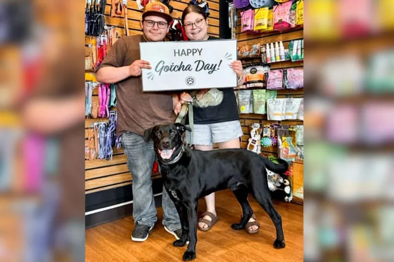 Worth The Wait-Sioux Falls Dog Going Home After Over 140 Days